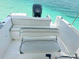 
										CORALINE OPEN 22 full									