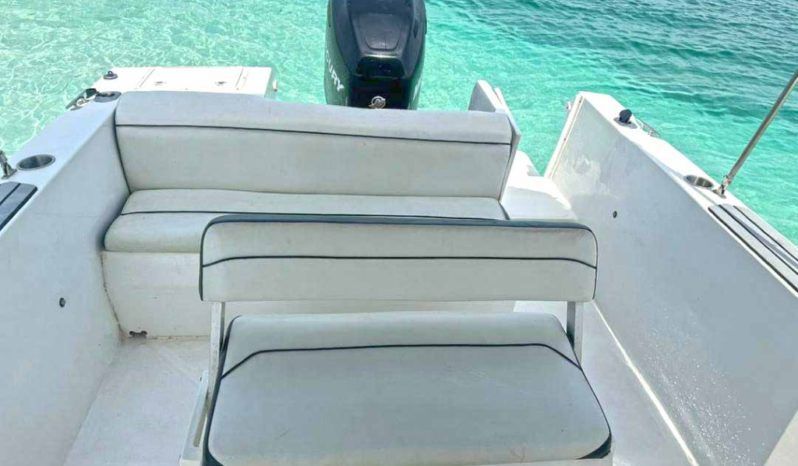 
								CORALINE OPEN 22 full									