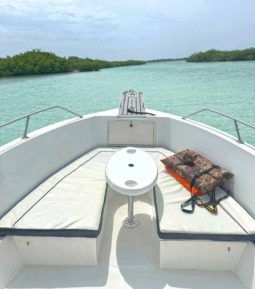 
										CORALINE OPEN 22 full									