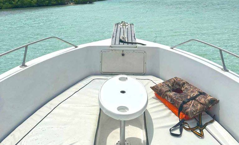 
								CORALINE OPEN 22 full									