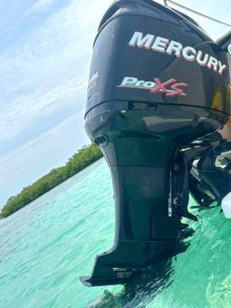 
										CORALINE OPEN 22 full									