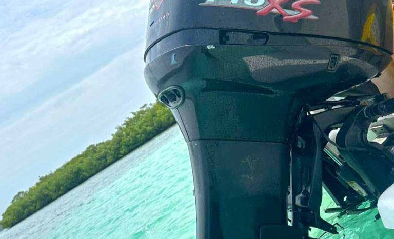 
								CORALINE OPEN 22 full									