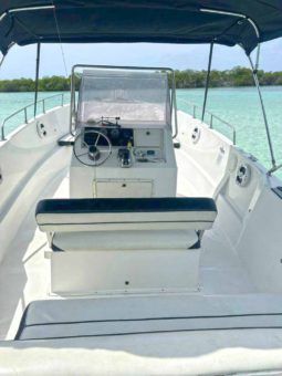 
										CORALINE OPEN 22 full									