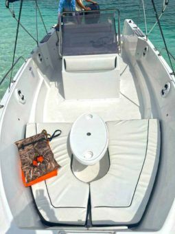 
										CORALINE OPEN 22 full									