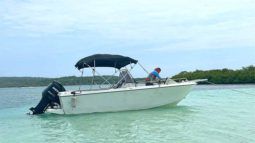 
										CORALINE OPEN 22 full									