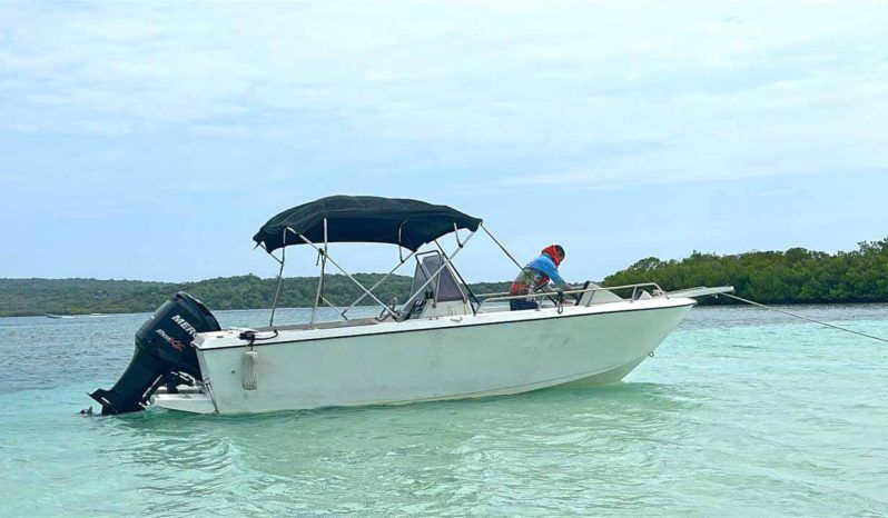 
								CORALINE OPEN 22 full									