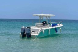 
										CORALINE OPEN 24 full									