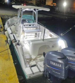 
										CORALINE OPEN 24 full									