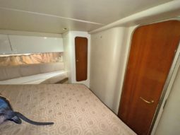 
										CRANCHI MEDITERRANEE 41 full									