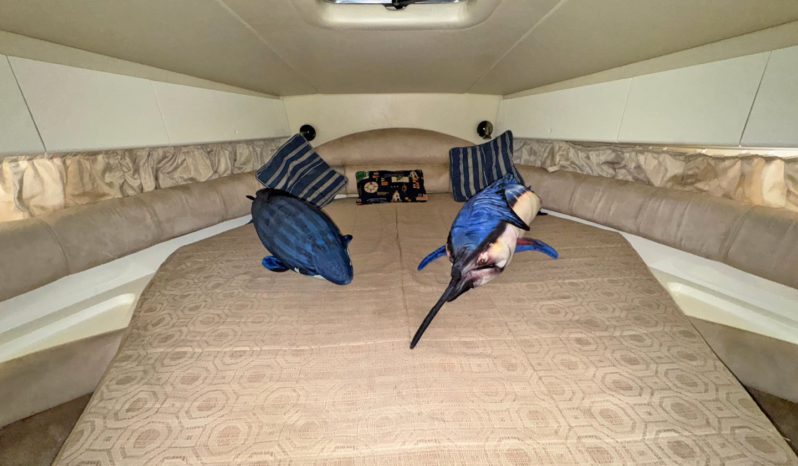 
								CRANCHI MEDITERRANEE 41 full									