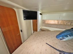 
										CRANCHI MEDITERRANEE 41 full									