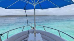 
										PROMARINE 24 full									