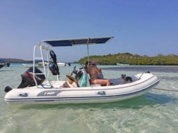 
										DINGHY ARTIGIANA BATTELLI OCEANUS 15 full									