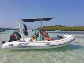 DINGHY ARTIGIANA BATTELLI OCEANUS 15