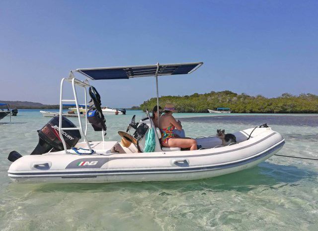 
								DINGHY ARTIGIANA BATTELLI OCEANUS 15 full									