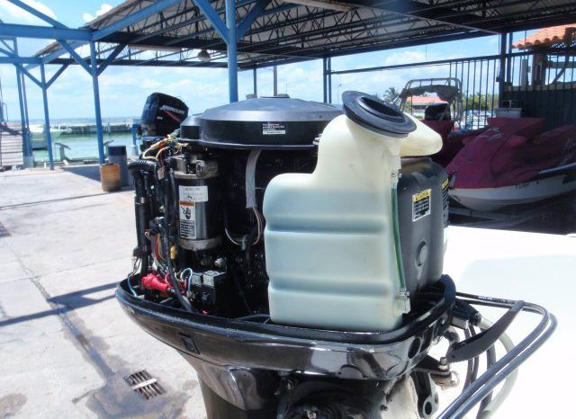 
								DINGHY ARTIGIANA BATTELLI OCEANUS 15 full									