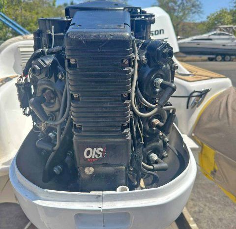
								DINGHY CARIBE 15 full									