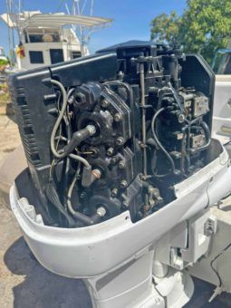
										DINGHY CARIBE 15 full									