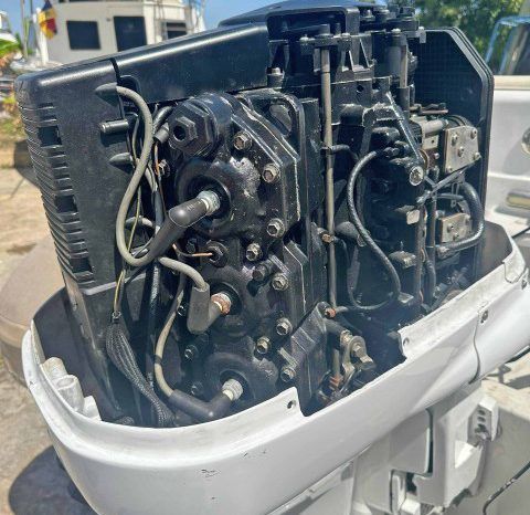 
								DINGHY CARIBE 15 full									