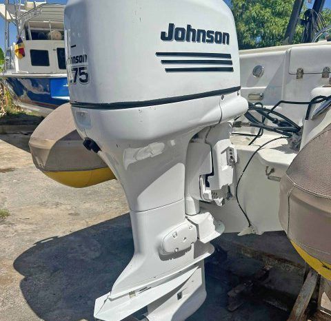 
								DINGHY CARIBE 15 full									