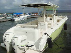 PROMARINE OPEN 33
