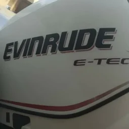EVINRUDE E-TEC 200 full