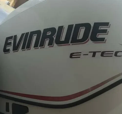 EVINRUDE E-TEC 200 full