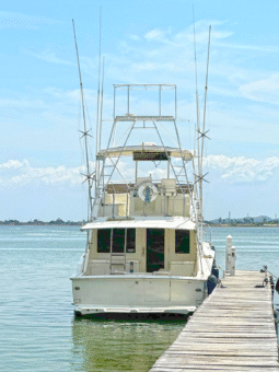 
										HATTERAS 43 full									