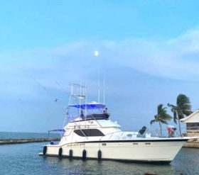 HATTERAS 43