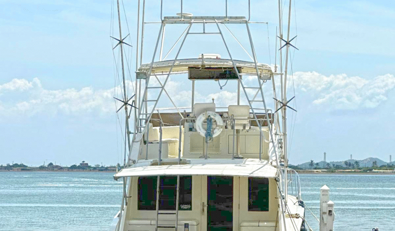 
								HATTERAS 43 full									