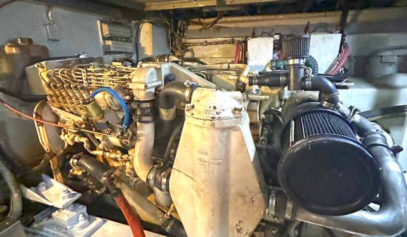 
								HATTERAS 43 full									