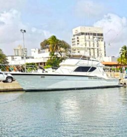
										HATTERAS 43 full									