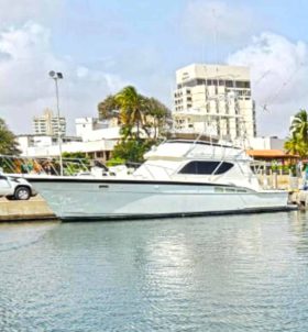 HATTERAS 43