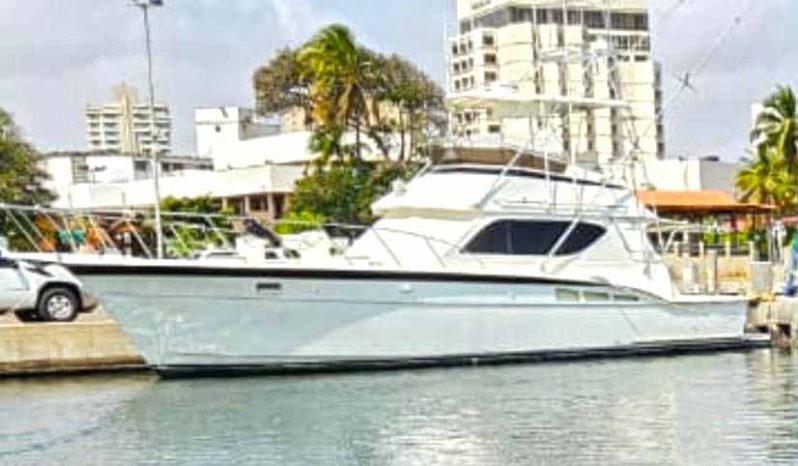 
								HATTERAS 43 full									