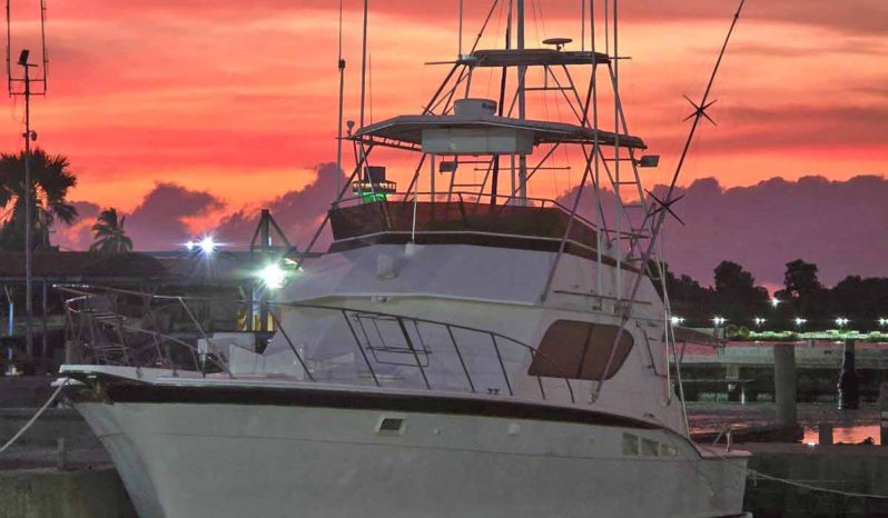 
								HATTERAS 43 full									