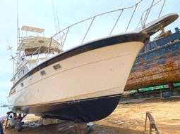 
										HATTERAS 43 full									