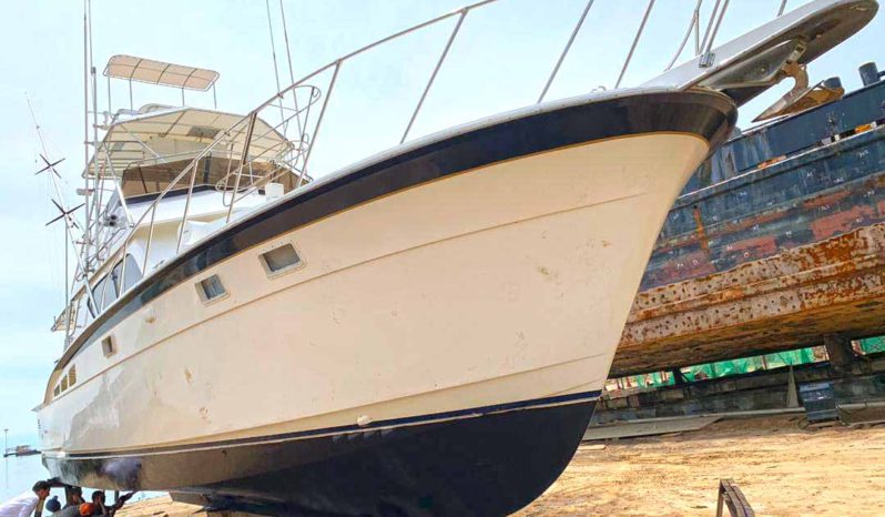 
								HATTERAS 43 full									