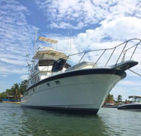 HATTERAS 43