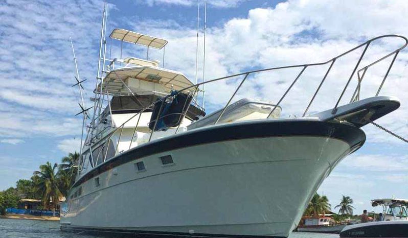
								HATTERAS 43 full									