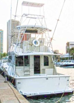 
										HATTERAS 43 full									
