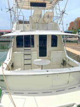 
										HATTERAS 43 full									
