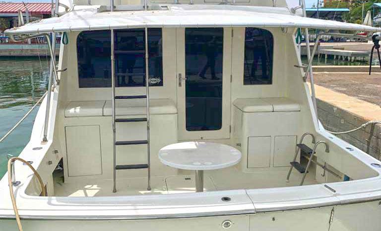 
								HATTERAS 43 full									