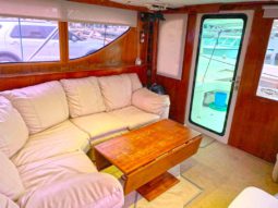
										HATTERAS 43 full									