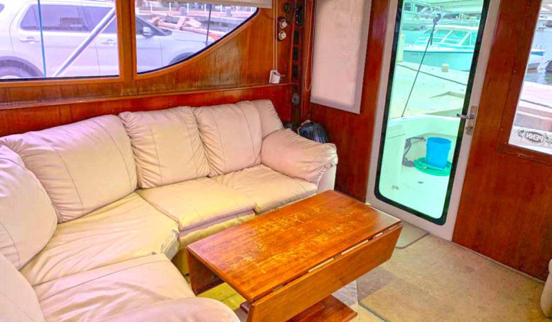 
								HATTERAS 43 full									