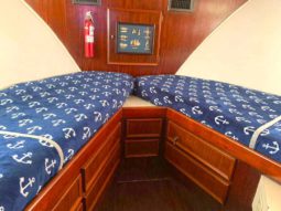 
										HATTERAS 43 full									