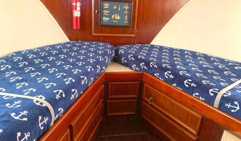 
								HATTERAS 43 full									