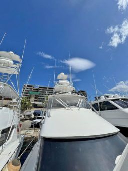 
										HATTERAS CONVERTIBLE 60 full									