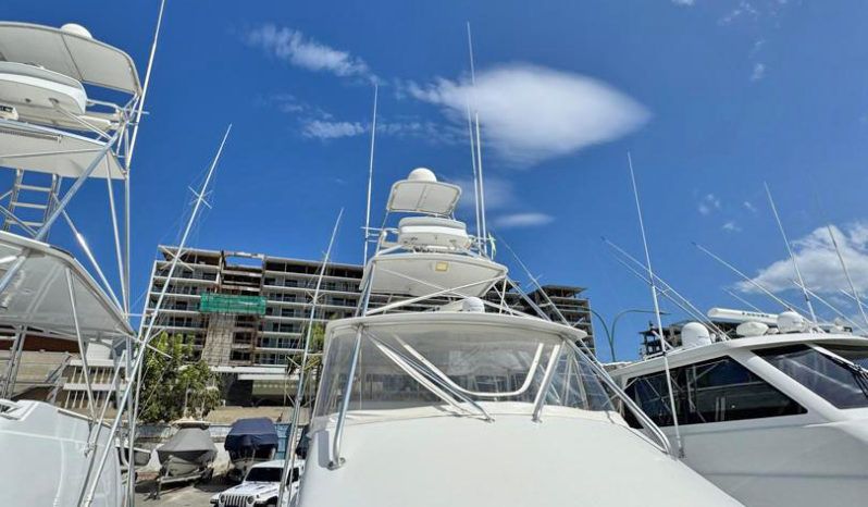 
								HATTERAS CONVERTIBLE 60 full									