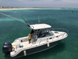 
										ROBALO R305 30 full									