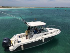 ROBALO R305 30